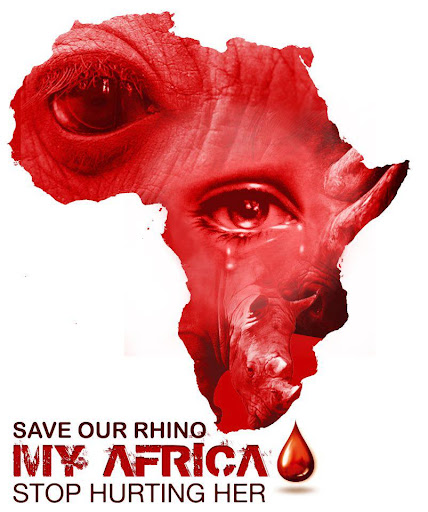 red rhino africa